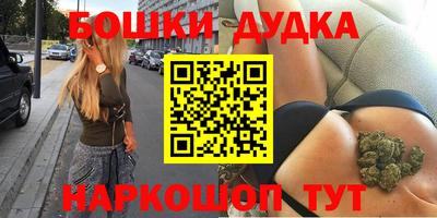 прущие крисы Абакан