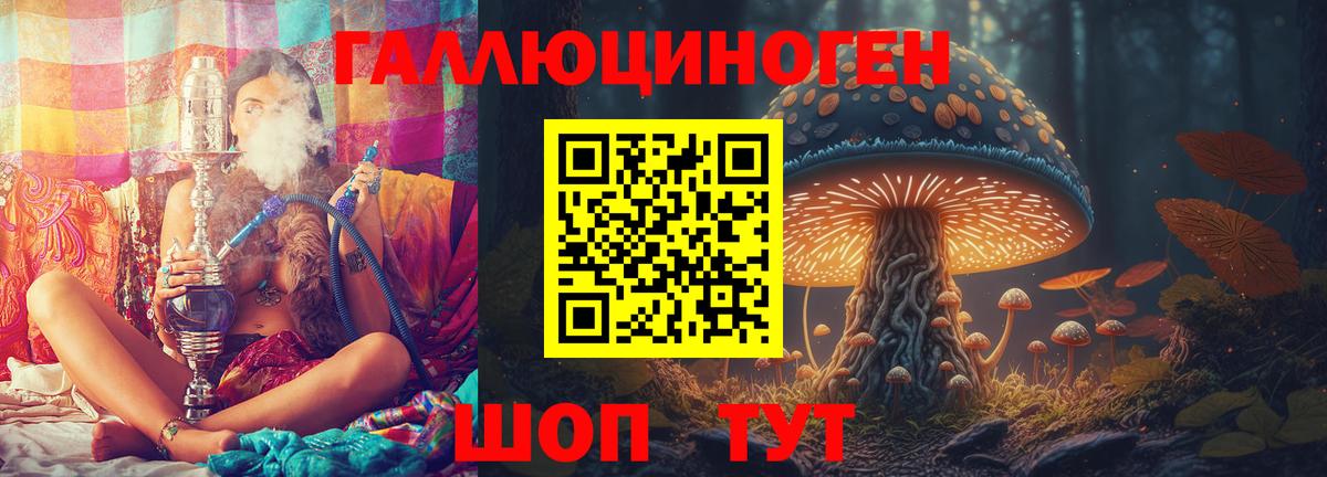Псилоцибиновые грибы GOLDEN TEACHER Россия