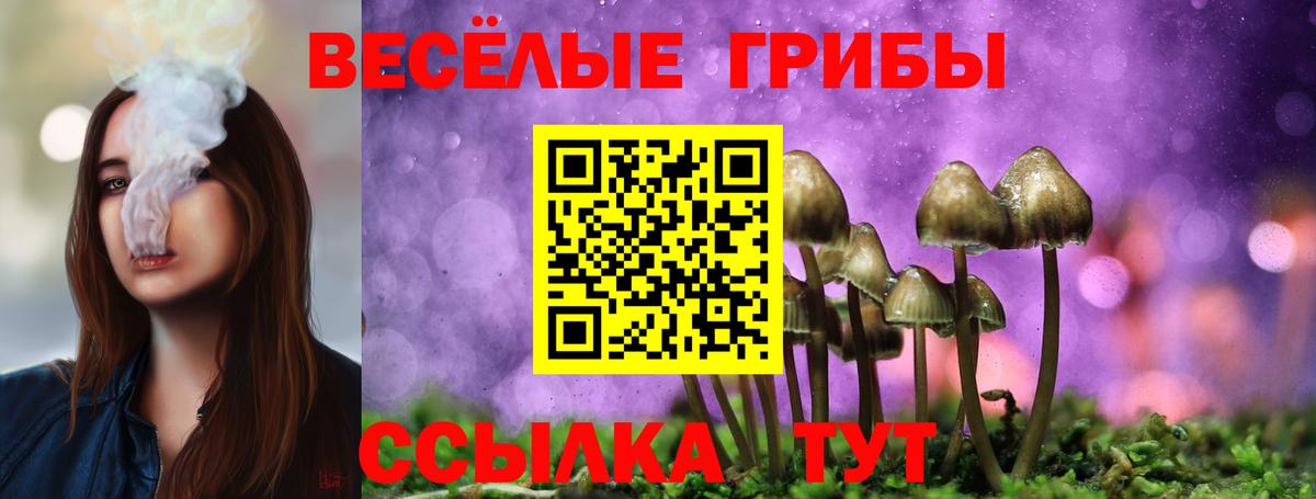 Псилоцибиновые грибы Psilocybine cubensis  Вход с VPN  Россия  Псилоцибиновые грибы MAGIC MUSHROOMS 
